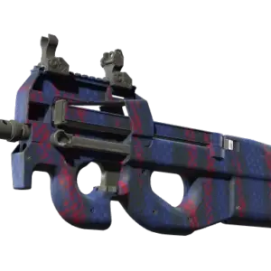 P90 | Teardown (Minimal Wear)