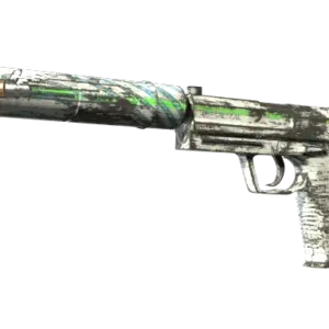 USP-S | Road Rash (Well-Worn)