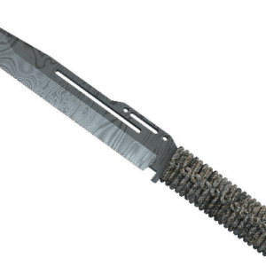 ★ StatTrak™ Paracord Knife | Damascus Steel (Well-Worn)