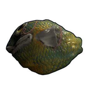 Fish Rock