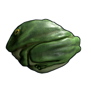 Frog Rock
