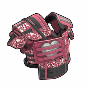 Lovestruck Roadsign Vest