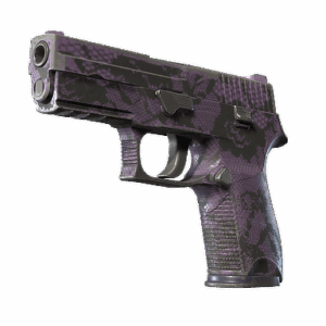 P250 | Plum Netting (Well-Worn)