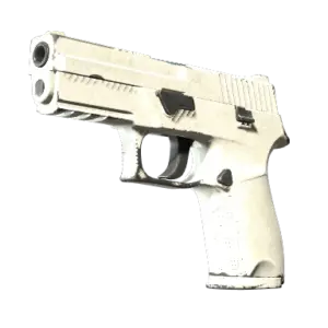 P250 | Whiteout (Field-Tested)