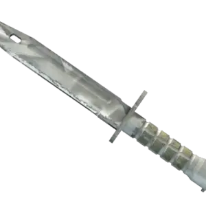 ★ Bayonet | Urban Masked (Well-Worn)