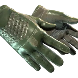 ★ Driver Gloves | Racing Green (Field-Tested)