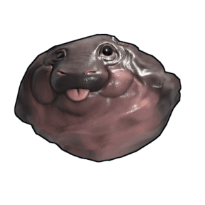 Baby Hippo Rock