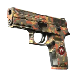 P250 | Red Rock (Field-Tested)