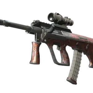 Souvenir AUG | Random Access (Field-Tested)