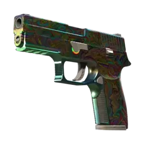 StatTrak™ P250 | Visions (Well-Worn)