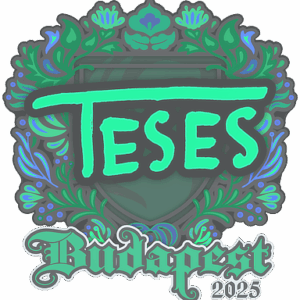 Sticker | TeSeS | Budapest 2025