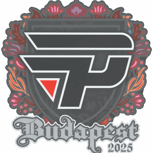 Sticker | paiN Gaming | Budapest 2025