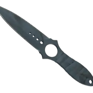 ★ Skeleton Knife | Night Stripe (Well-Worn)