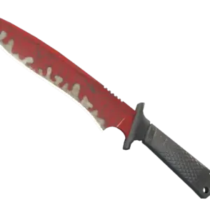 ★ StatTrak™ Classic Knife | Crimson Web (Field-Tested)