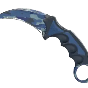 ★ StatTrak™ Karambit | Bright Water (Well-Worn)