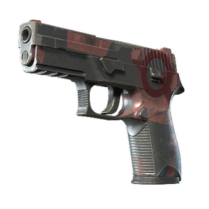 P250 | Constructivist (Field-Tested)