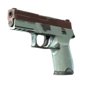 P250 | Copper Oxide (Well-Worn)