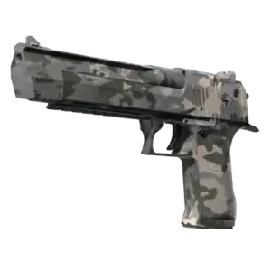 Souvenir Desert Eagle | Urban Rubble (Factory New)