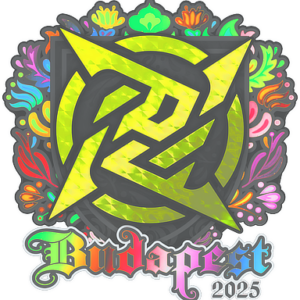 Sticker | Ninjas in Pyjamas (Holo) | Budapest 2025