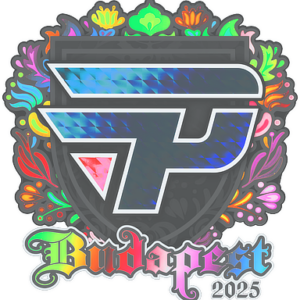 Sticker | paiN Gaming (Holo) | Budapest 2025