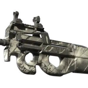 P90 | Ash Wood (Well-Worn)