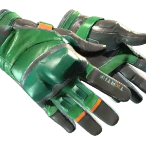 ★ Moto Gloves | Turtle (Well-Worn)