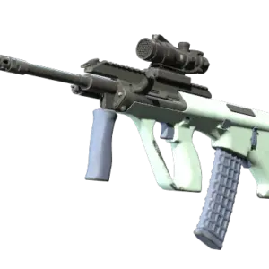 Souvenir AUG | Storm (Field-Tested)