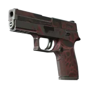 StatTrak™ P250 | Contaminant (Battle-Scarred)