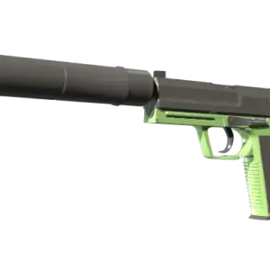 USP-S | Para Green (Minimal Wear)